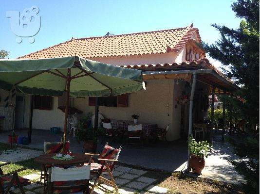 Εξοχική Κατοικία στην Σπιάντζα, Πύργου Ηλείας